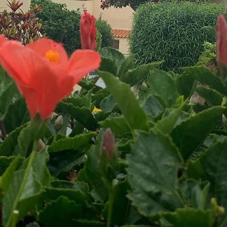 Appartement Amazing One Bad El Duque *